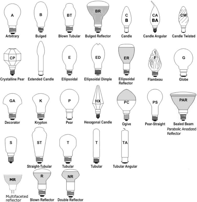bulb shapes 