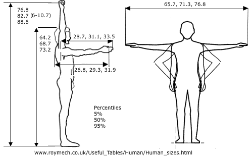 Anthropometric Dimensions for humans, reach